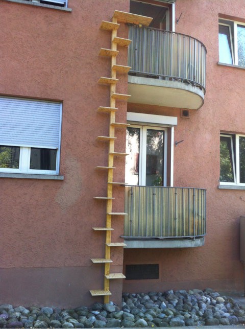 Katzenleiter Wendeltreppe